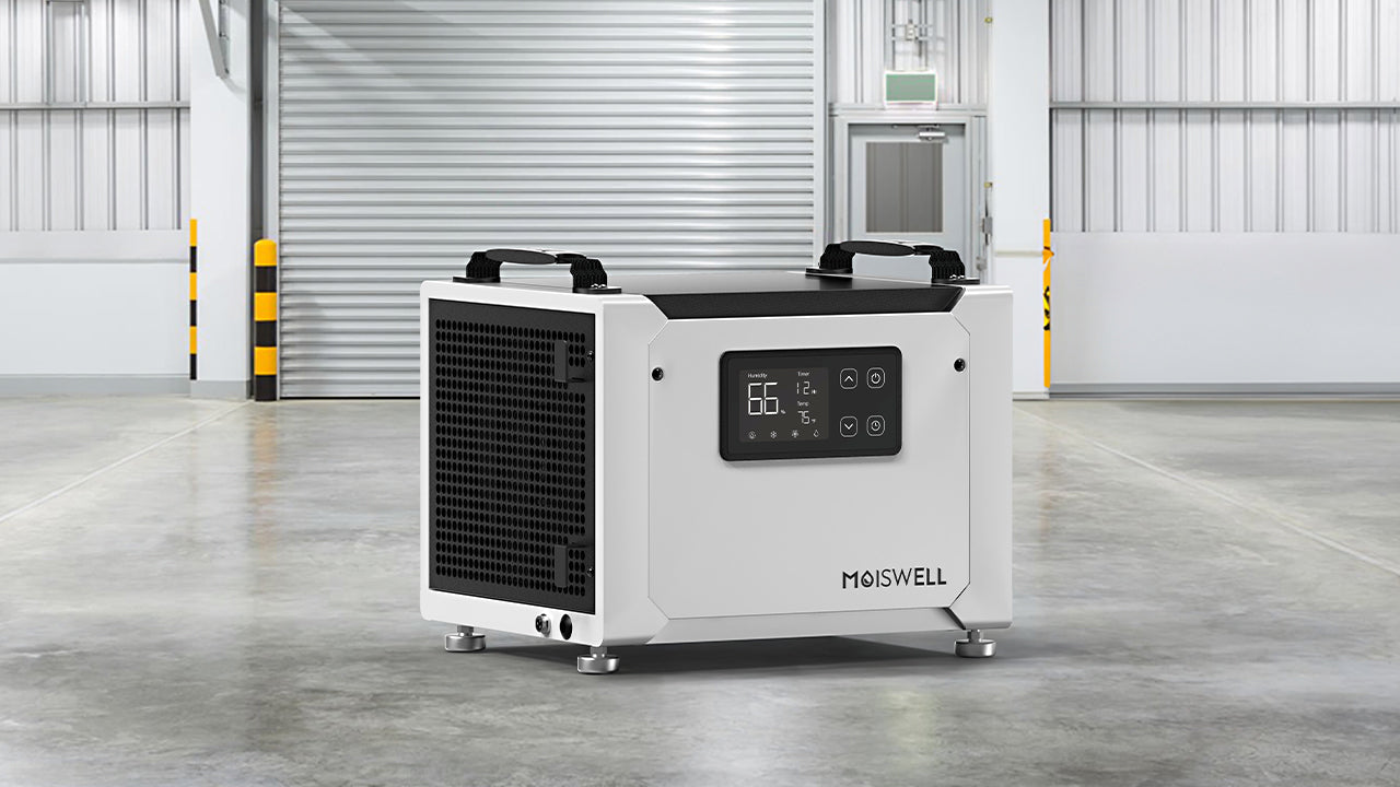 The Essential Role of Dehumidifiers in Preventing Freezing