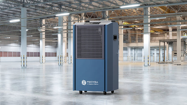 Vertical vs. Horizontal Dehumidifiers: Which is Best for You?