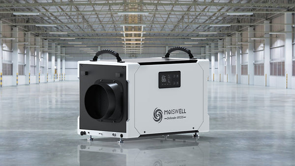 Navigating Dry Basements: The Crucial Role of Choosing the Right Dehumidifier