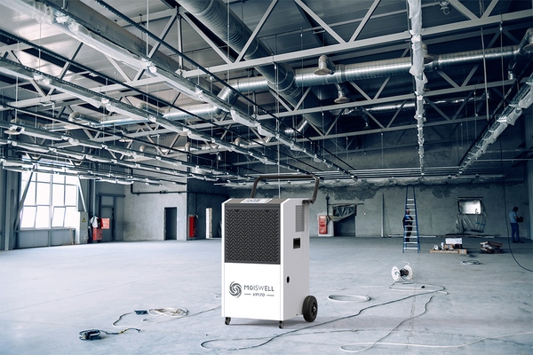 The Significance of Dehumidifiers in the Automotive Industry