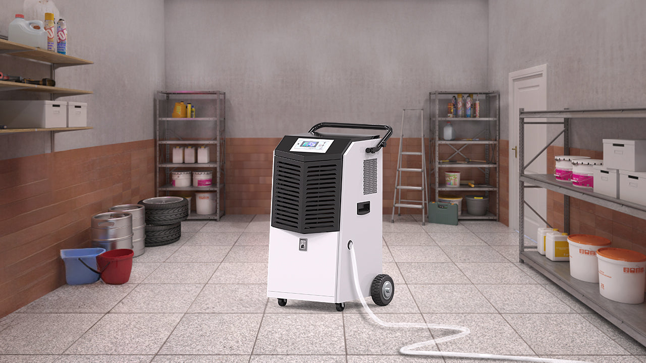 Everything You Need to Know About Dehumidifiers