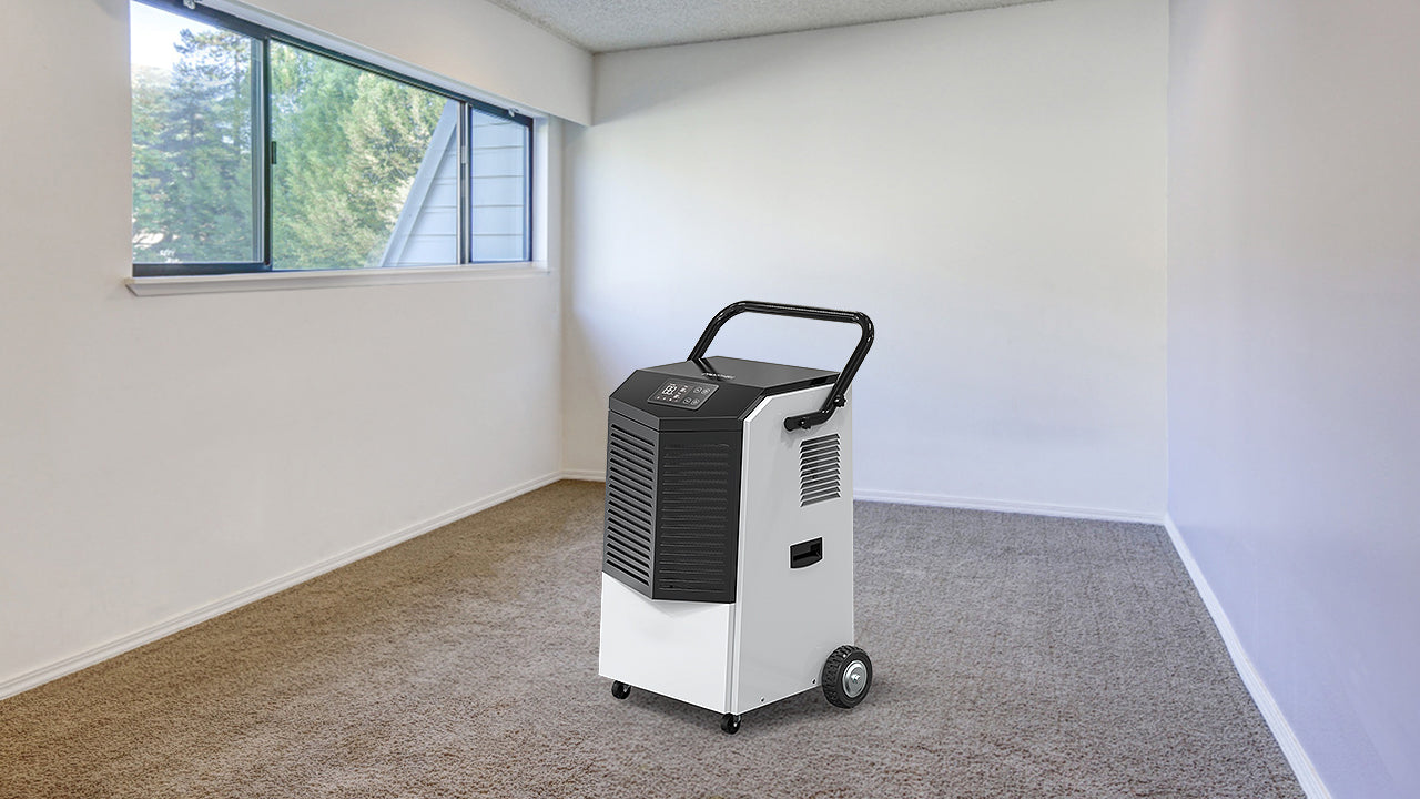 Protect Your Home from Moisture Damage