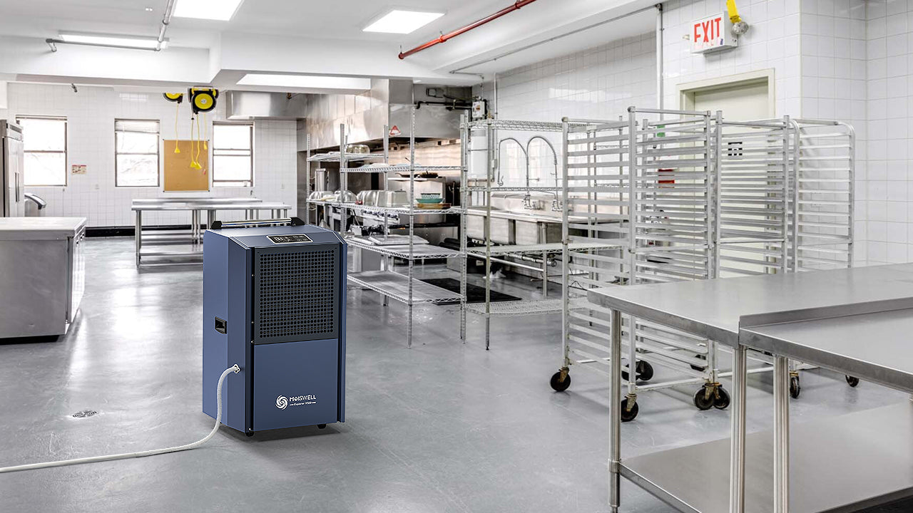 Things to Know Before Buying a Commercial Dehumidifier