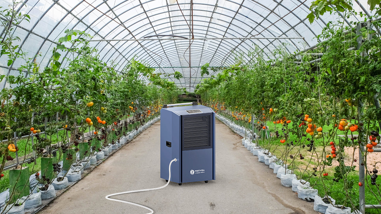 How to Control Humidity in Your Indoor Grow Room?