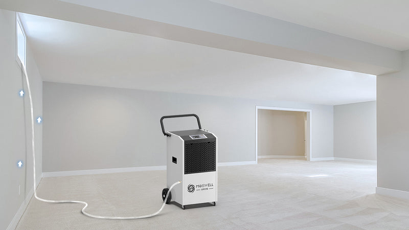 How Dehumidifiers Protect Your Home from Moisture Damage