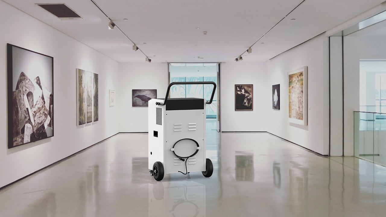 The Benefits of Dehumidifiers in Gyms