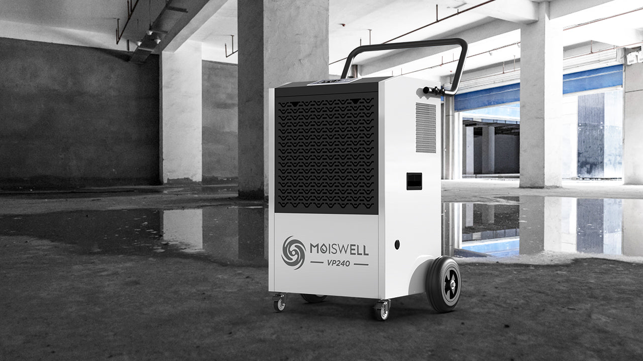 What Is the Best Type of Commercial Dehumidifier?