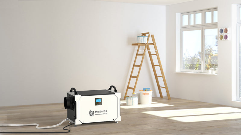 The Essential Role of Dehumidifiers in Preventing Freezing