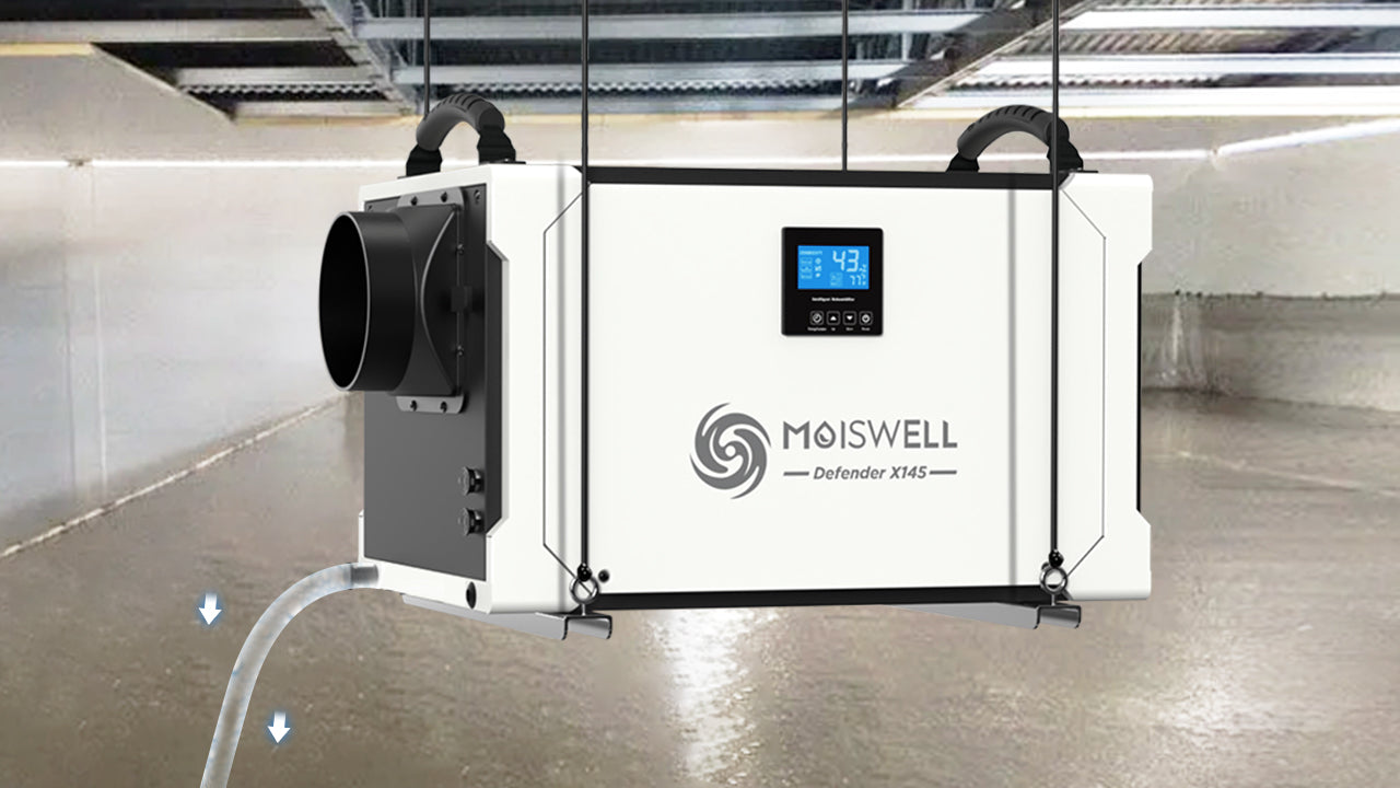 How to Properly Choose a Basement Dehumidifier?