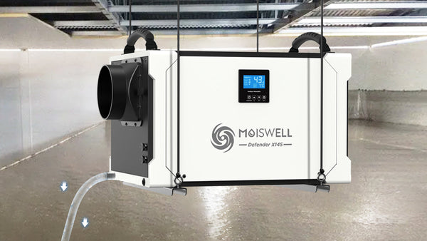 How to Properly Choose a Basement Dehumidifier?