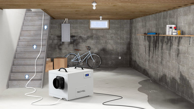 Choosing the Right-Sized Dehumidifier for Your Crawl Space