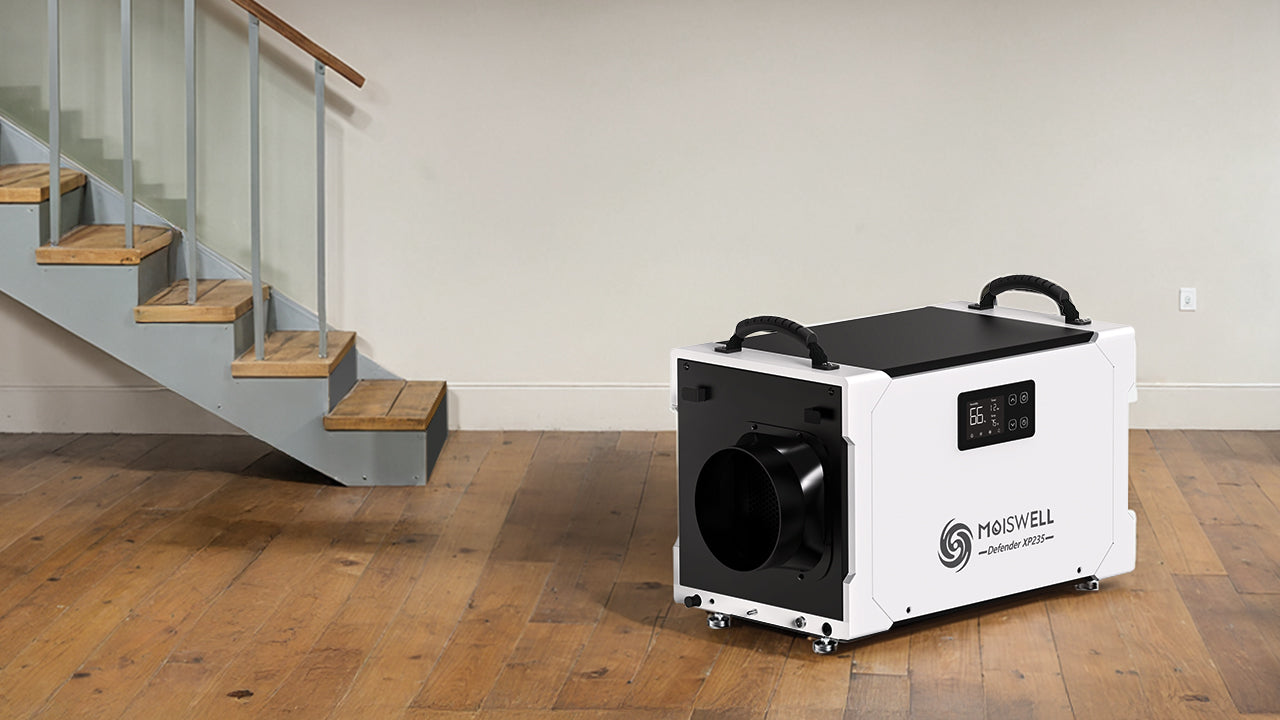 Which Restoration Dehumidifier is Best for You?