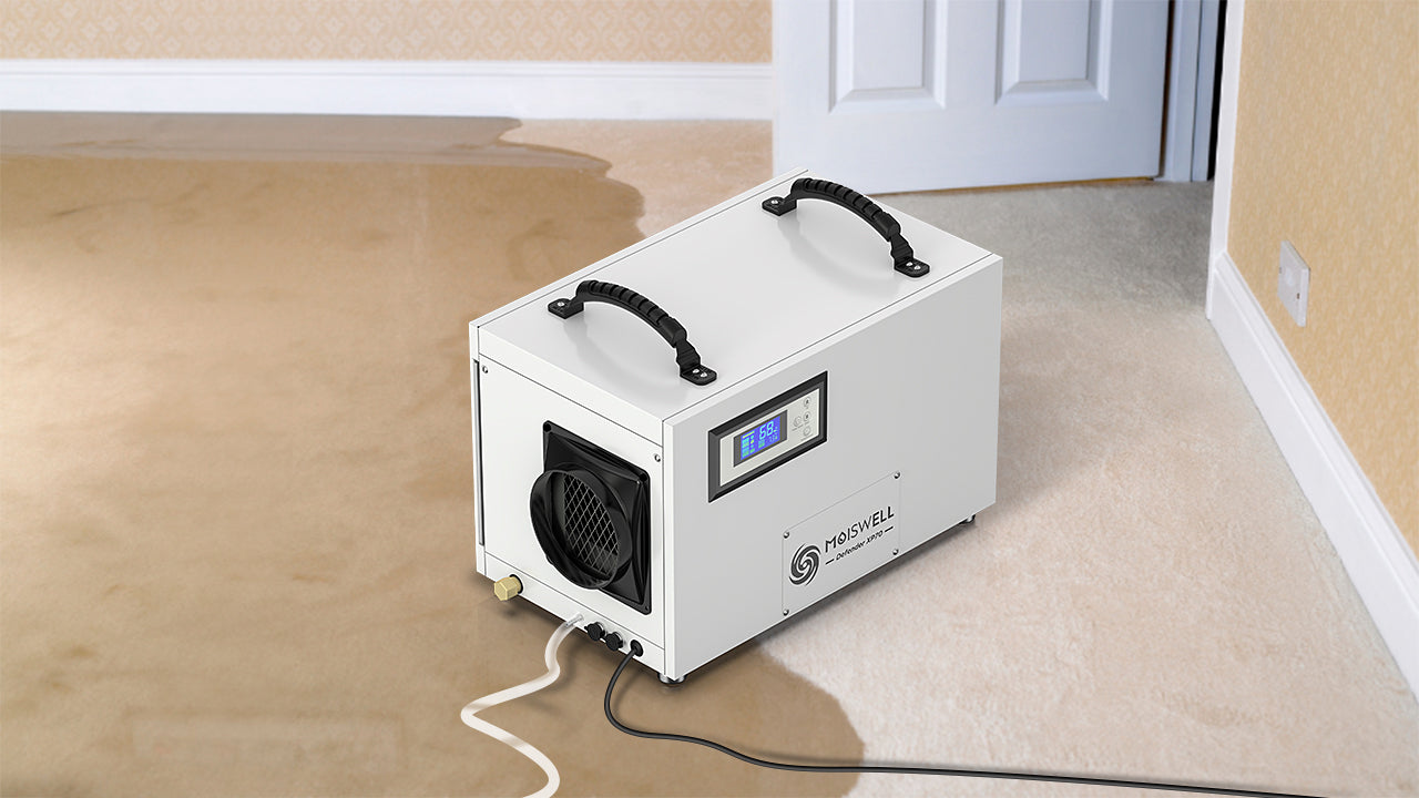 The Role of Dehumidifiers in Ensuring a Dry and Healthy Attic
