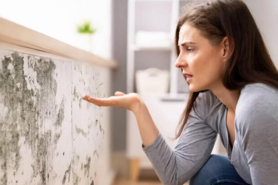 How to Remove Mold on Walls?