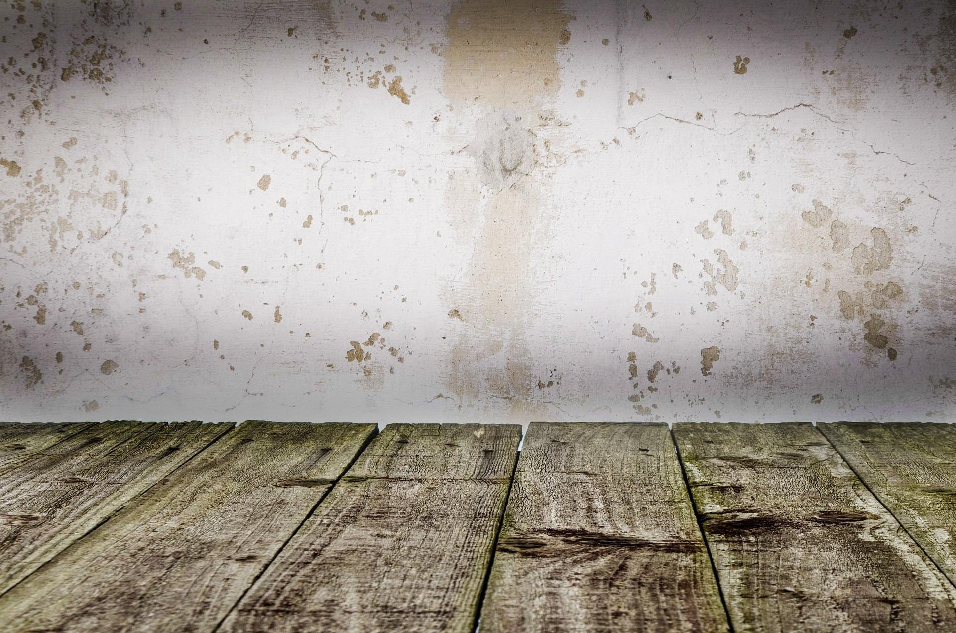 Wood Floor Water Damage? Let Moiswell Dehumidifier Help You Restore It