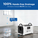 155 Pints Commercial Dehumidifier with Pump and Drain Hose for Crawlspace & Basement | MOISWELL Defender MP145