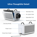 235 Pints Commercial Dehumidifier with Pump and Drain Hose for Crawlspace & Basement | MOISWELL Defender MP100