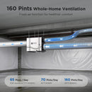 160 Pint Whole-Home Dehumidifier with Fresh Air & Remote Control | MOISWELL Marshal WD160